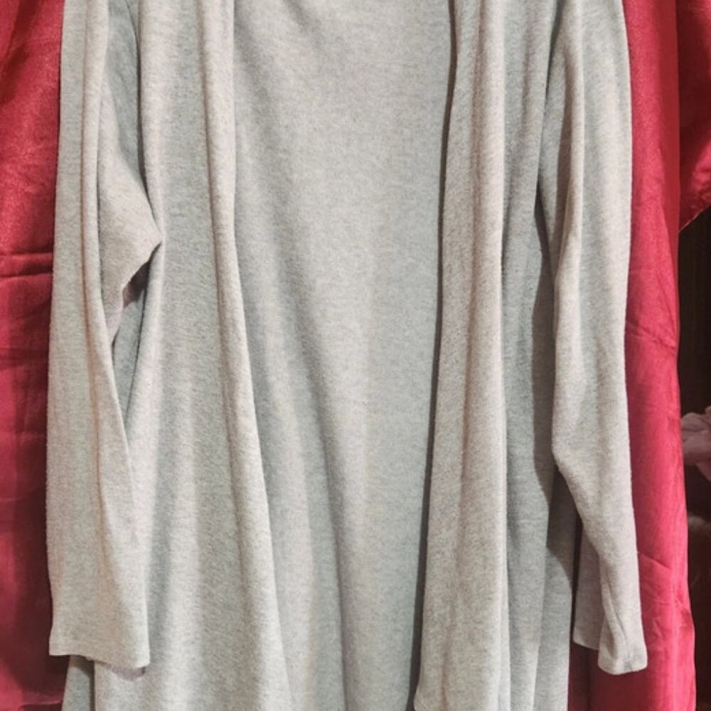 Wantable cardigan size 2x